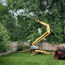Best Tree Preservation Services  in Buchanan, VA