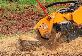 Best Emergency Tree Removal  in Buchanan, VA