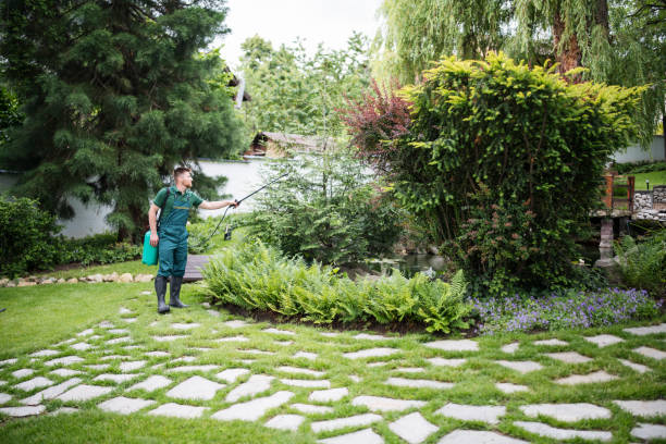 Best Organic Lawn Care Solutions  in Buchanan, VA